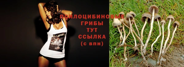 герыч Алексин